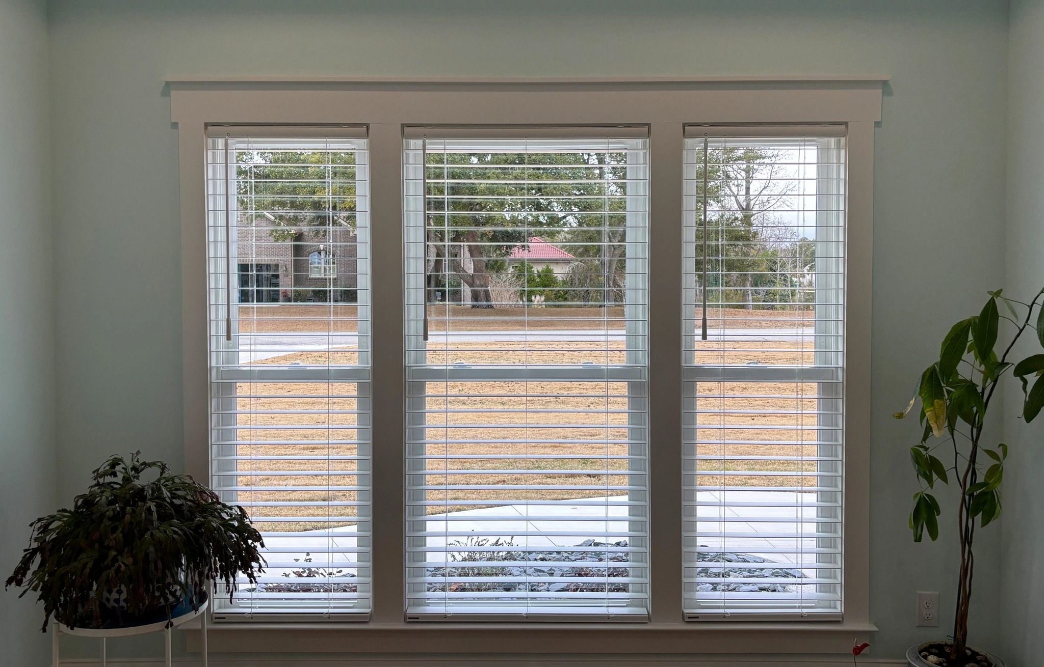blinds